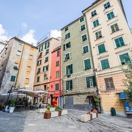 Apartment Le Vele Di Sant'elena - Attico